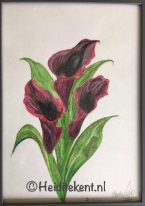 TE KOOP